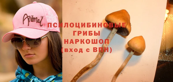 Альфа ПВП Алзамай