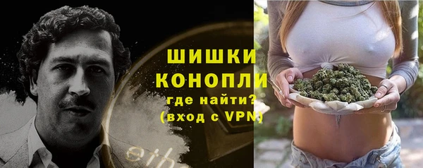 гидра Алексеевка
