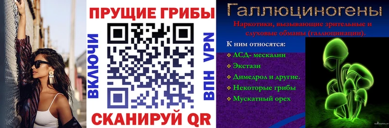 МЕГА ссылка  Моршанск  Галлюциногенные грибы ЛСД  магазин продажи  