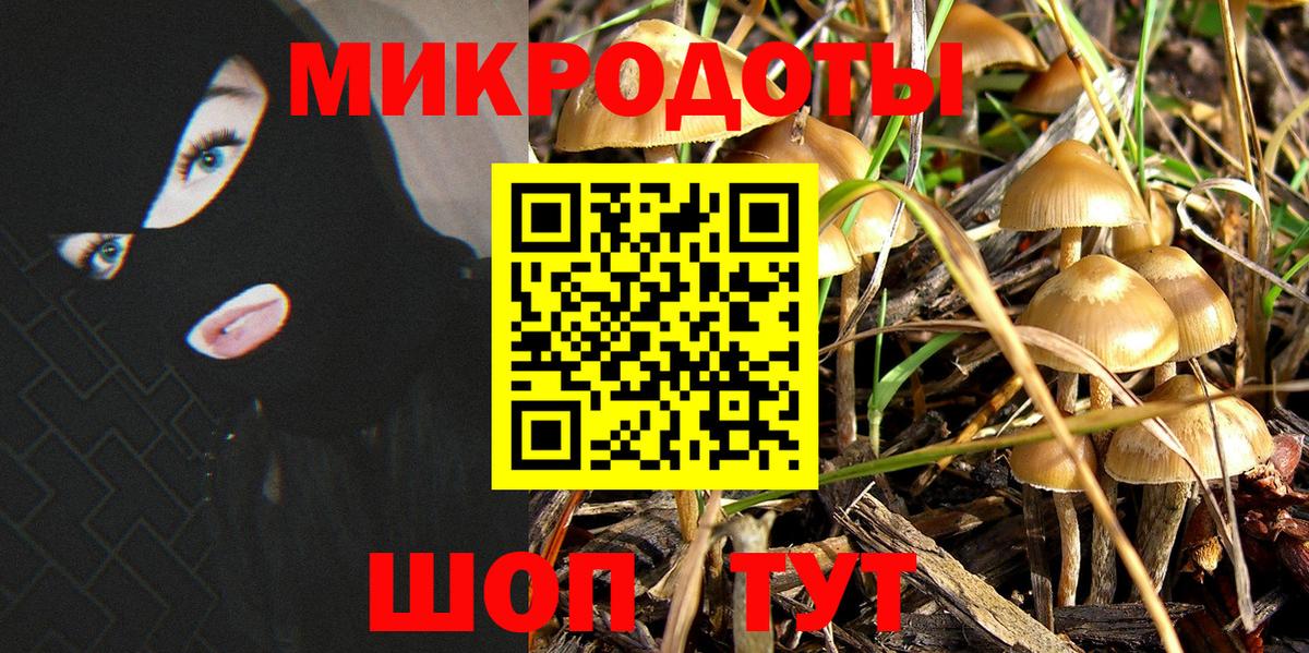 Псилоцибиновые грибы Psilocybe  Галлюциногенные грибы мицелий  Вход с VPN  Моршанск 